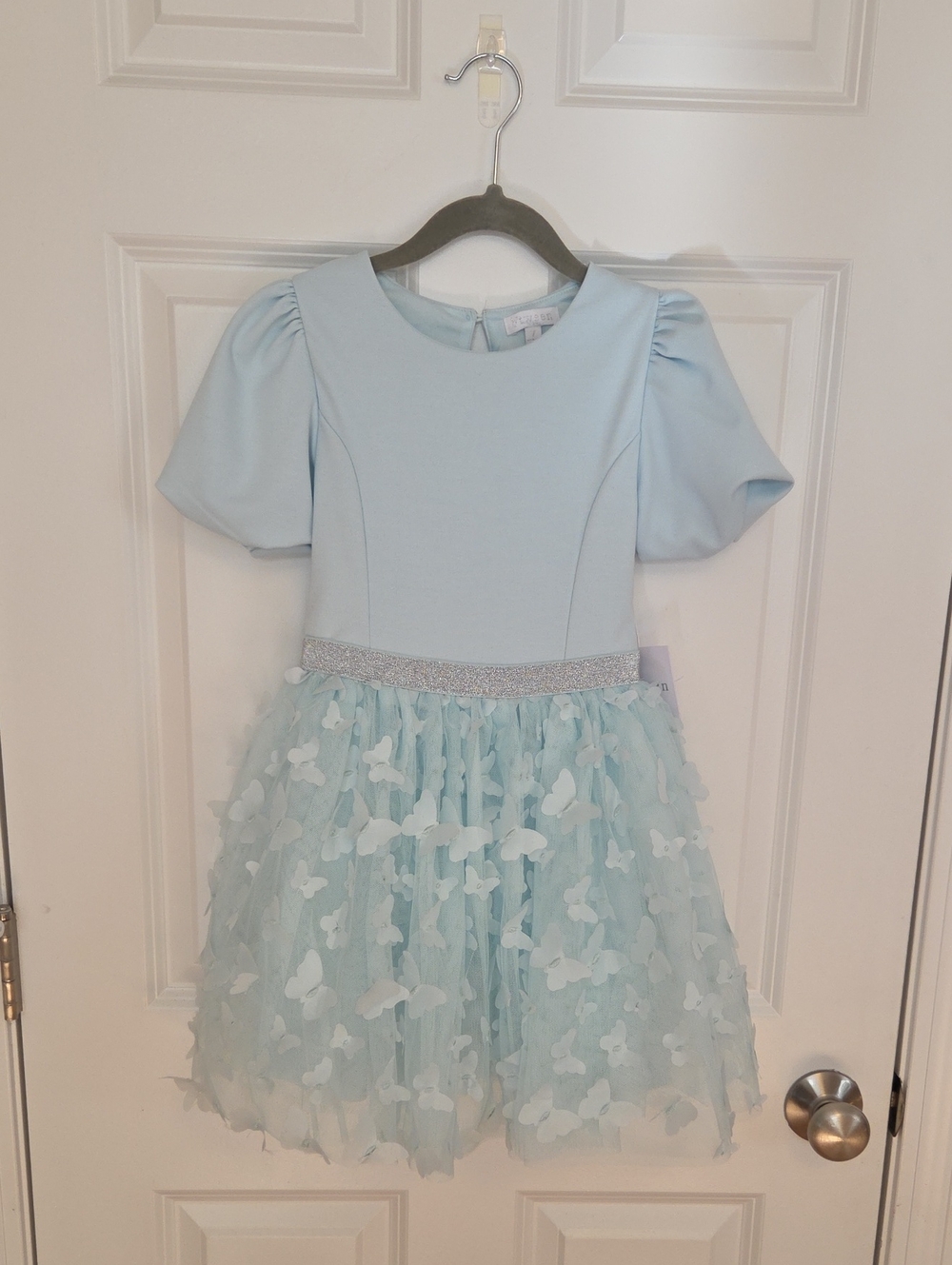 Butterfly Blue Dress